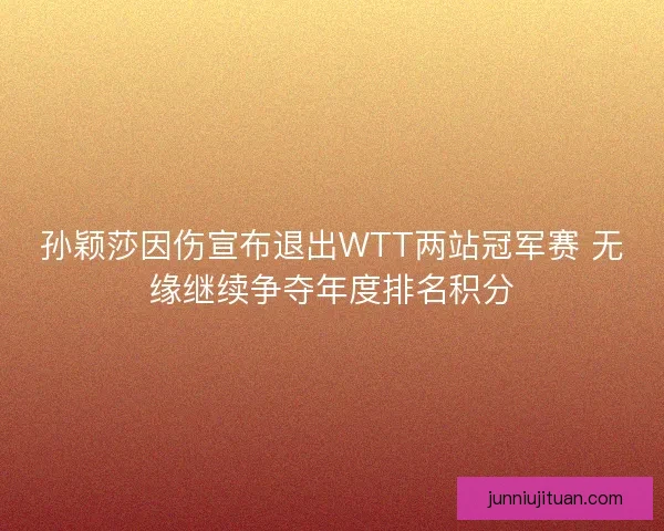 孙颖莎因伤宣布退出WTT两站冠军赛 无缘继续争夺年度排名积分