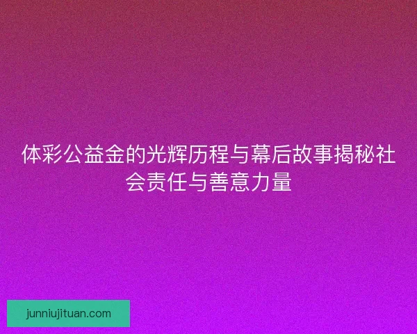 体彩公益金的光辉历程与幕后故事揭秘社会责任与善意力量